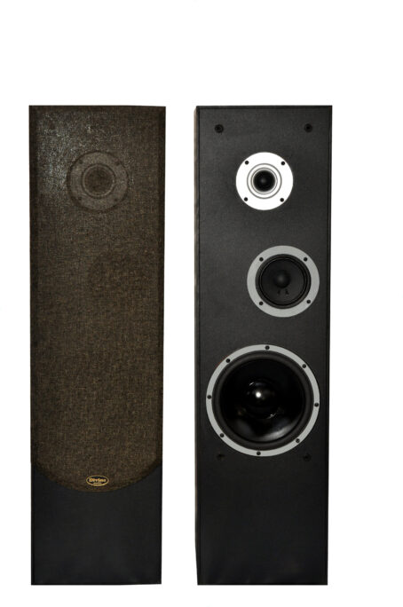 Divine audio t3w Floor standing speakers