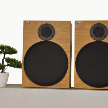 Divine Audio BS-80 2-Way Bookshelf Speaker