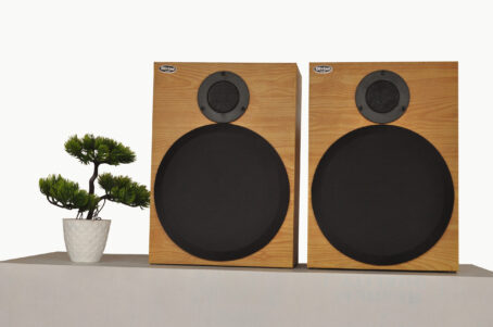 Divine Audio BS-80 2-Way Bookshelf Speaker - Image 2