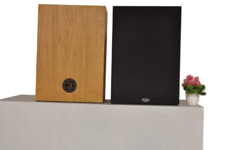 Divine Audio BS-100 2-Way Speaker - Image 2