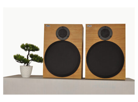 Divine Audio BS-80 2-Way Bookshelf Speaker - Image 3