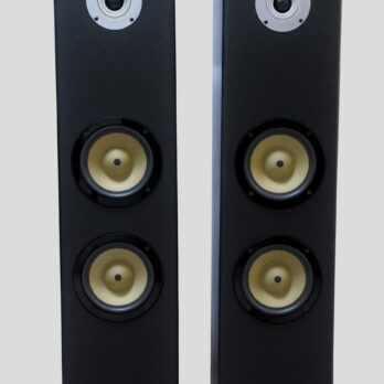 Divine Audio TS120 Floor standing speakers