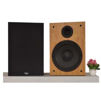 Divine Audio BS-100 2-Way Speaker