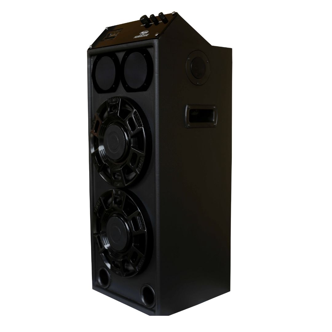 Divine Audio Hurricane Party Speaker