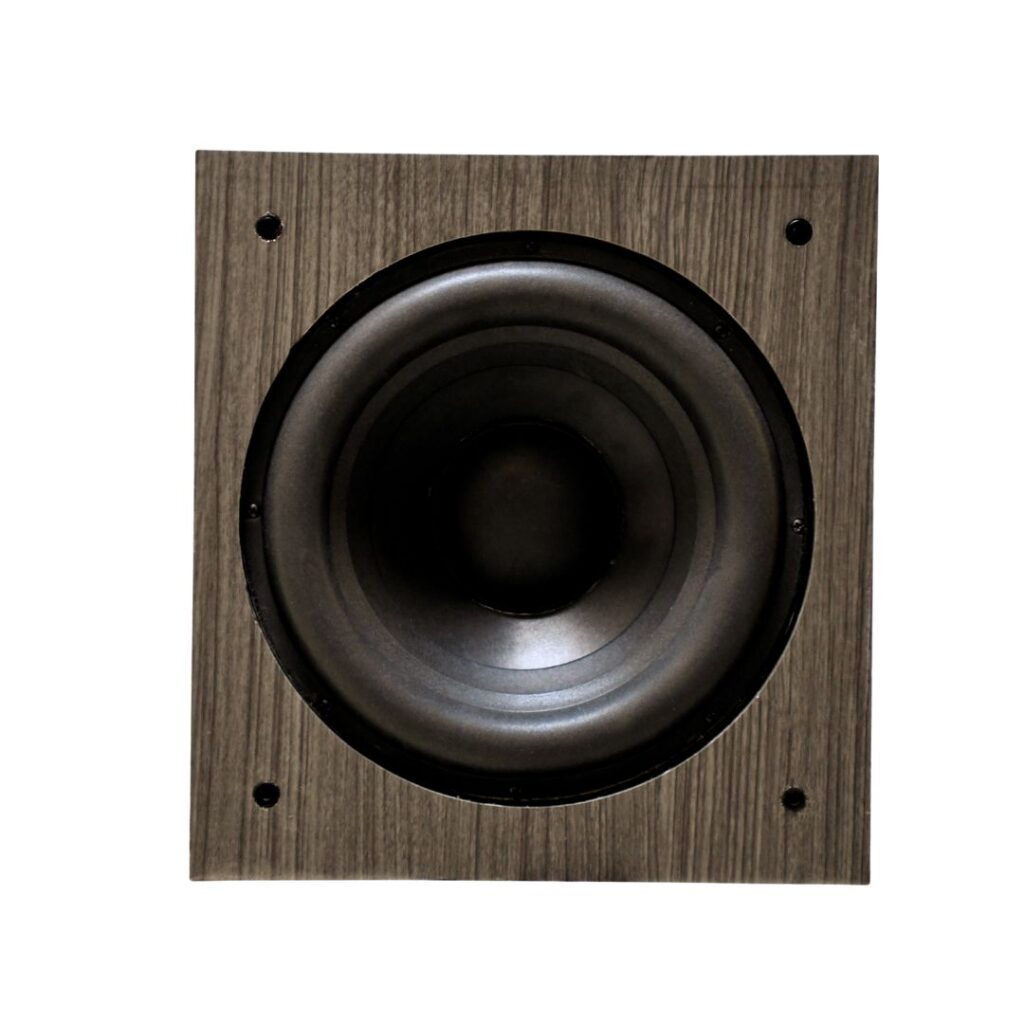 Divine Audio Mini T10