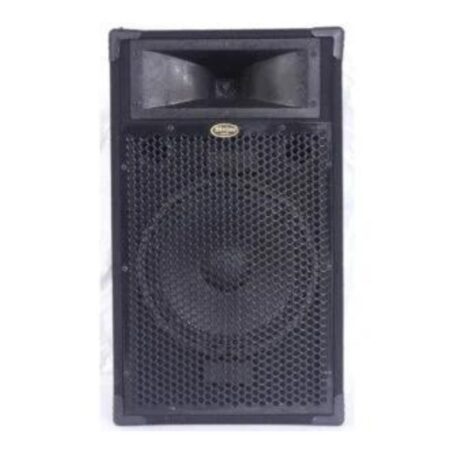 Divine Audio PAS 200 High-Quality PA/Home Speaker System