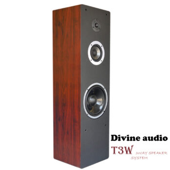 Divine Audio T3W floor standing speakers (pair)