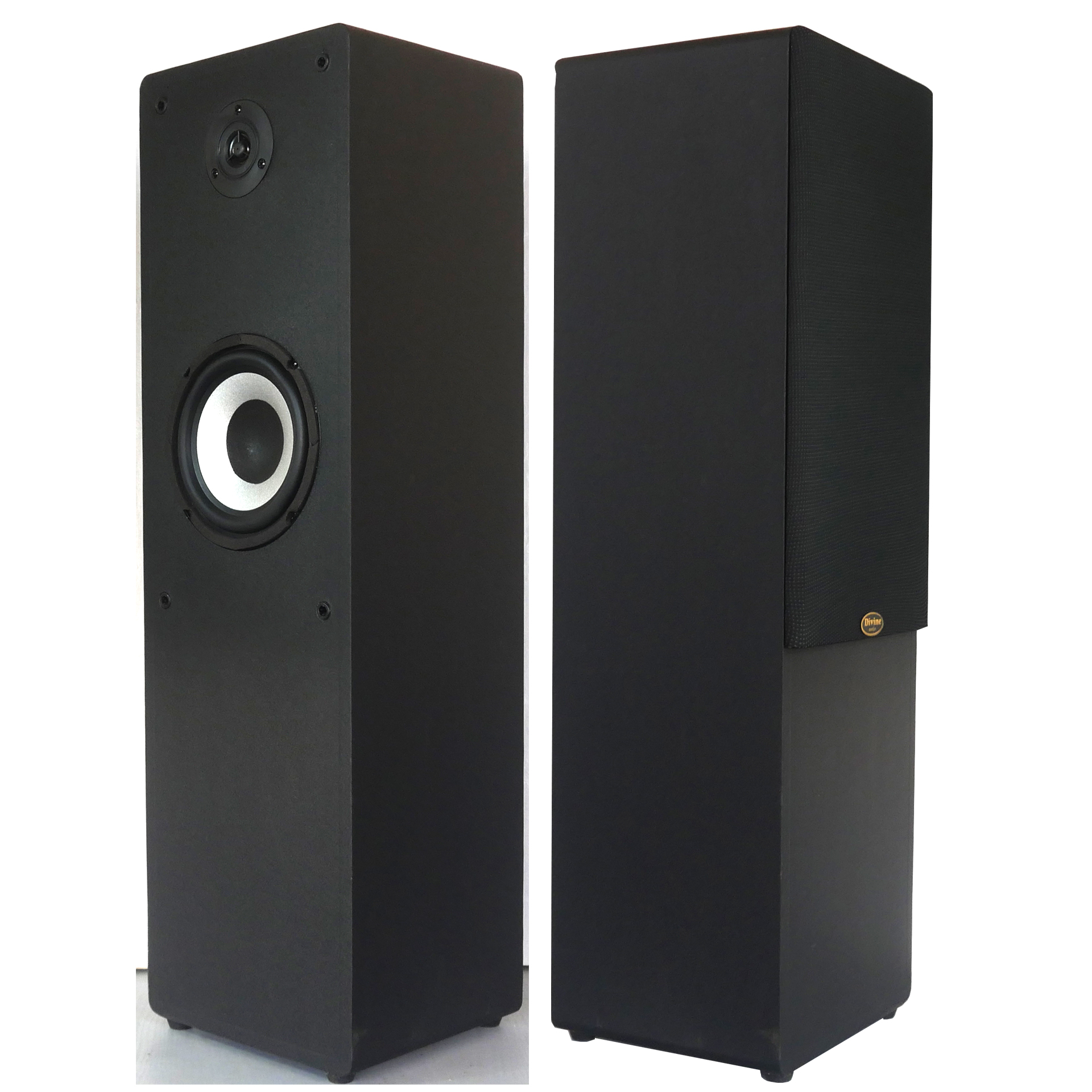 Divine audio Mini t10