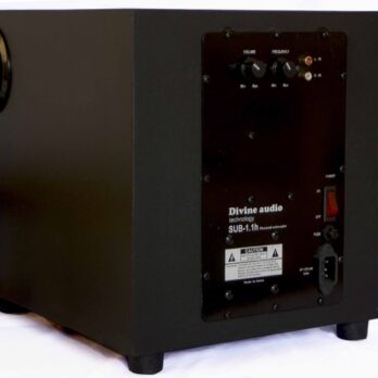 Divine Audio Sub-1.1H 110 watts Powered Subwoofer