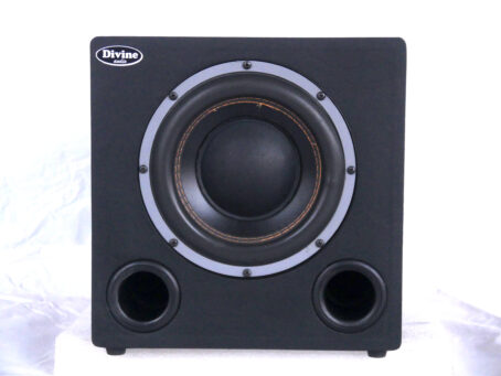 Divine audio sub 8