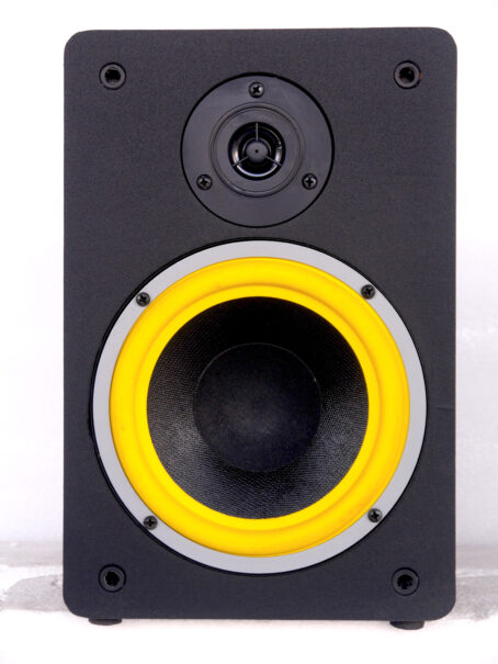 Divine audio PBS-120 (pair) Bookshelf/Surround speakers - Image 4