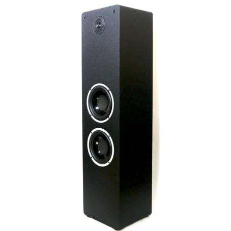 Divine audio TS-120 Tower speaker