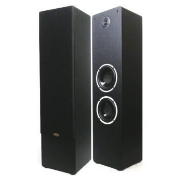 Divine Audio TS120 Floor standing speakers for Home theatre 120 watts RMS