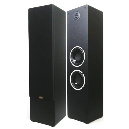 Divine audio TS-120 Tower speaker
