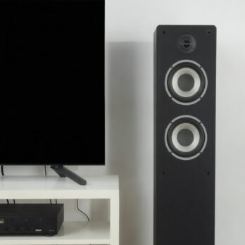 Divine Audio TS120 Floor standing speakers for Home theatre 120 watts RMS
