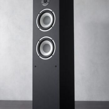 Divine Audio TS120 Floor standing speakers for Home theatre 120 watts RMS
